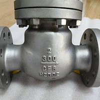 چک ولو فولادی کلاس 300 دو اینچ